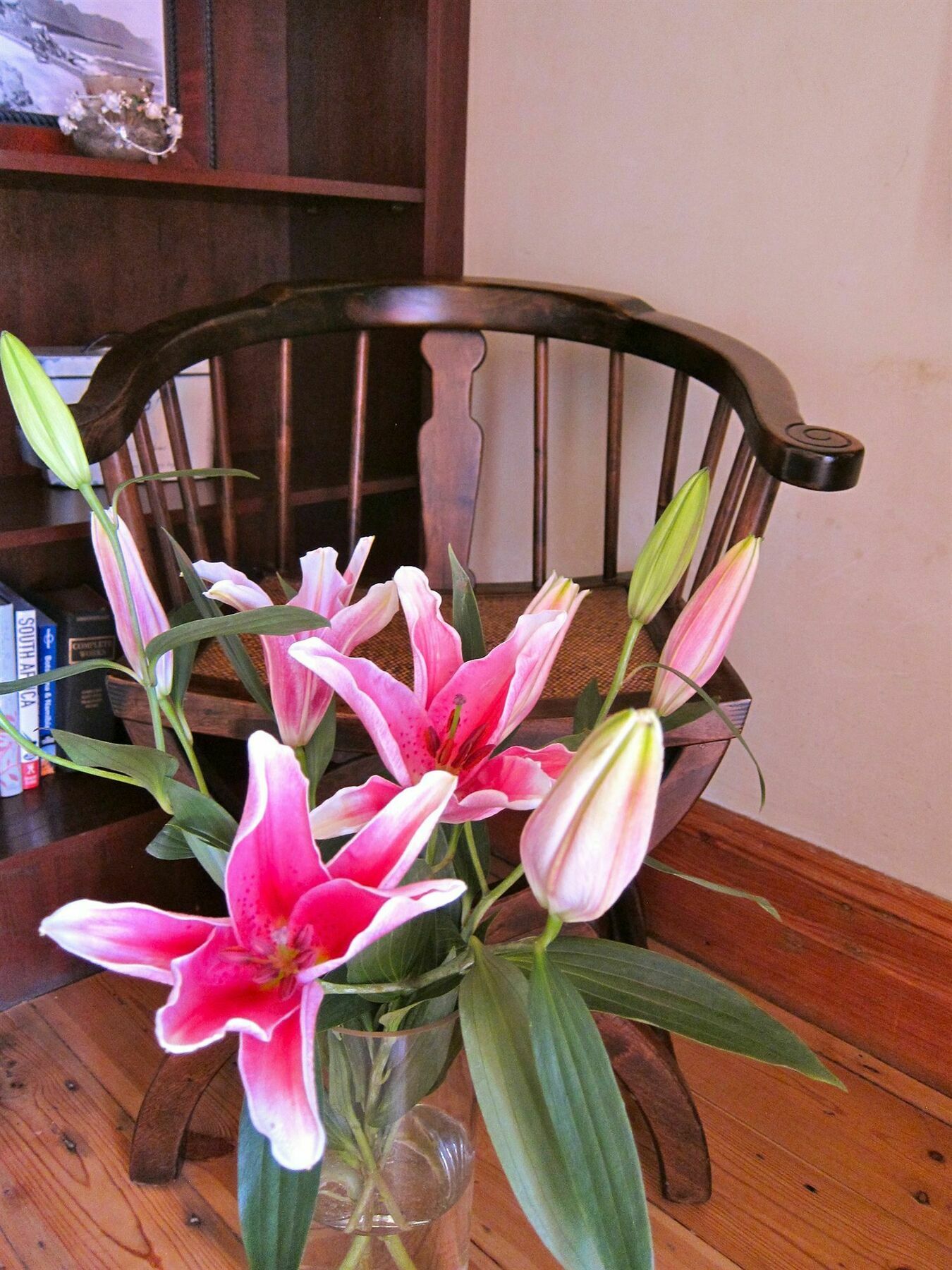Avatara Bed & Breakfast Kaapstad Buitenkant foto
